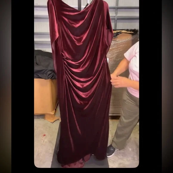 Betsy & Adam Velvet Burgundy Dress